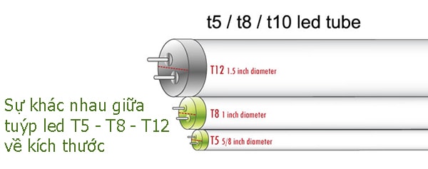 Bóng tuýp led T5 và T8 khác nhau như thế nào?