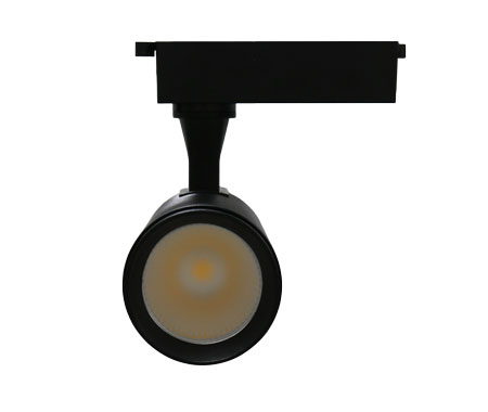 led thanh ray 10w